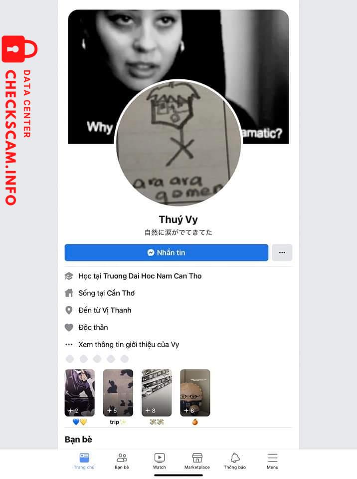 Evidence against TRUONG THI TUONG VY