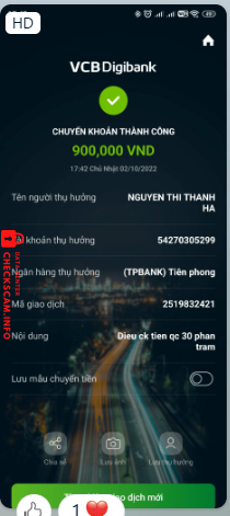 Evidence against NGUYEN THI THANH HA