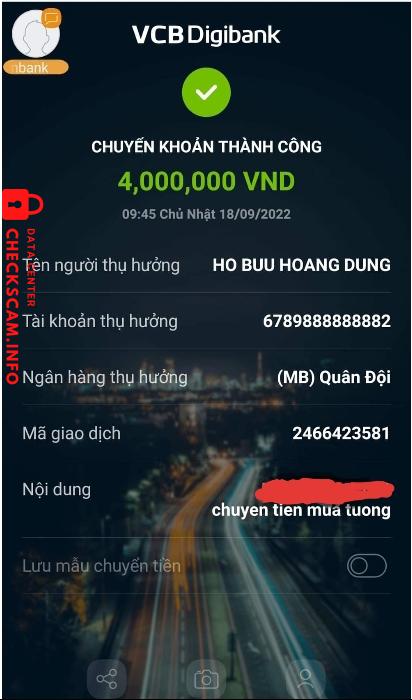 Evidence against HO BUU HOANG DUNG