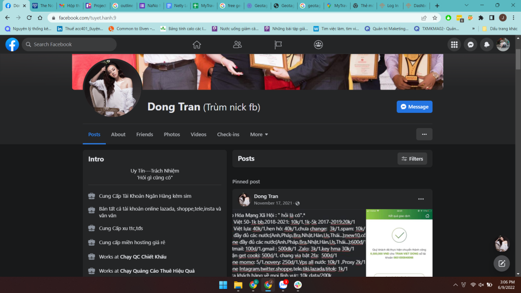 Evidence against Tran Viet Dong