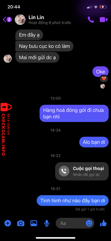 Evidence against Tran thi hong linh