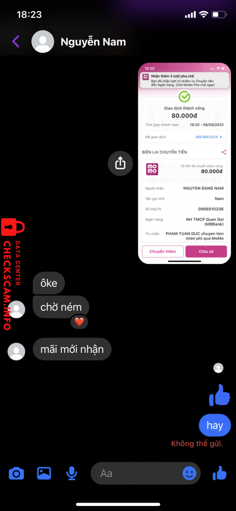 Evidence against Nguyễn Đặng Nam