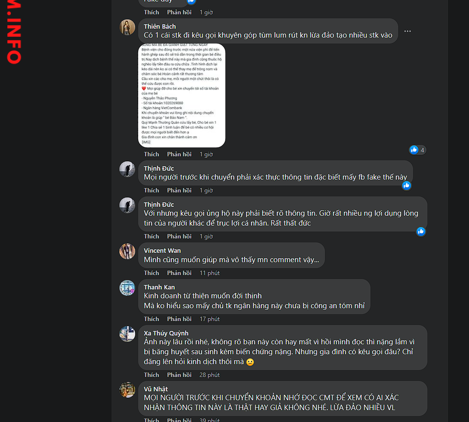 Preuves contre Nguyễn Thảo Phương