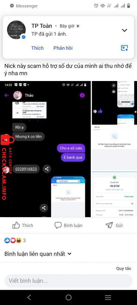 ဆန့်ကျင်သက်သေ Phan Minh Thảo