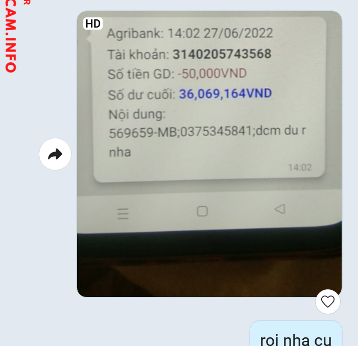 Preuves contre Nguyen Hong Lan