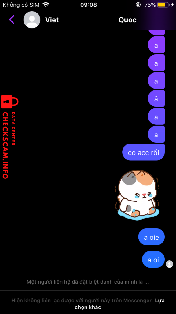 Доказательства против LUU HOAI NAM