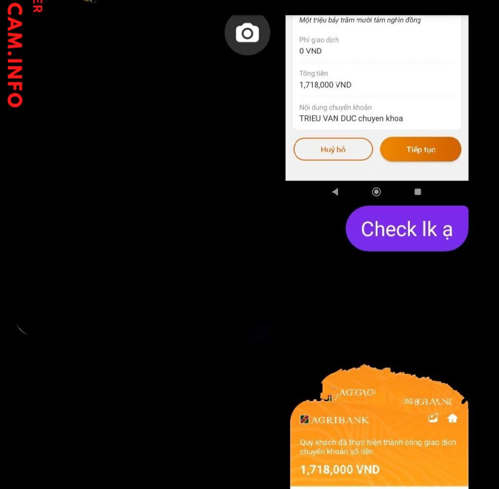 Bằng chứng chống lại Trần Thảo Nhi