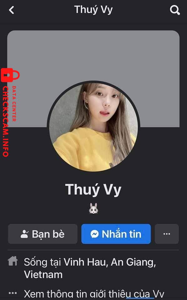 Bằng chứng chống lại QUACH THUY VY