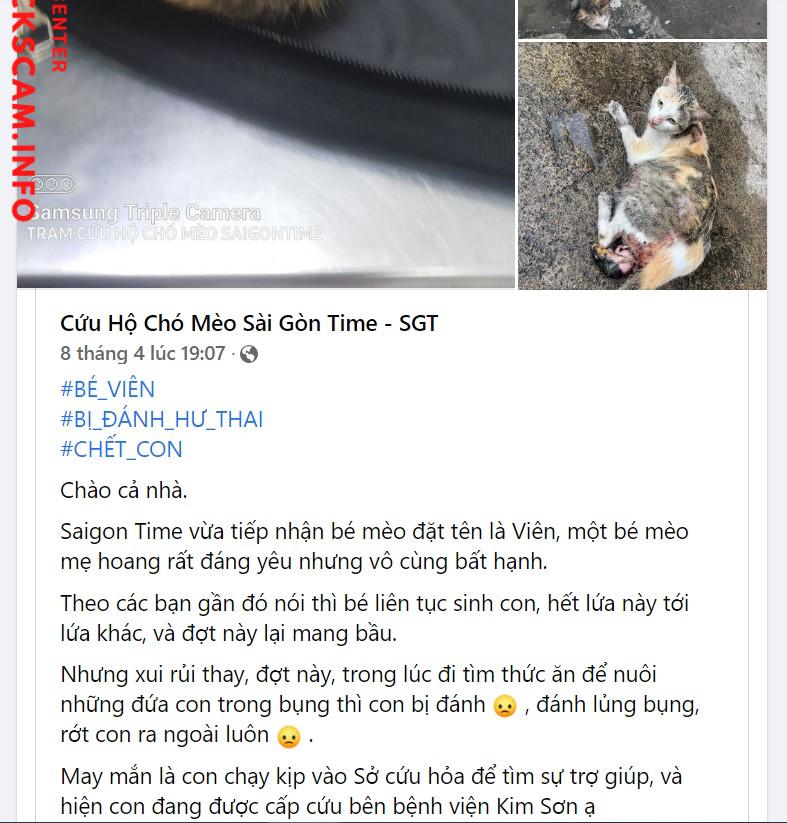 Bằng chứng chống lại Nguyen Thi Anh Thu