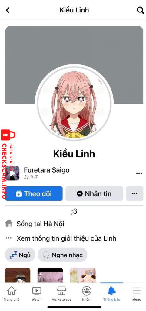 Preuves contre Lê Đặng Phương Giao