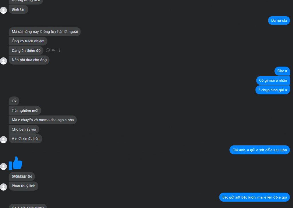 Ebidensya laban sa Phan Thùy Linh