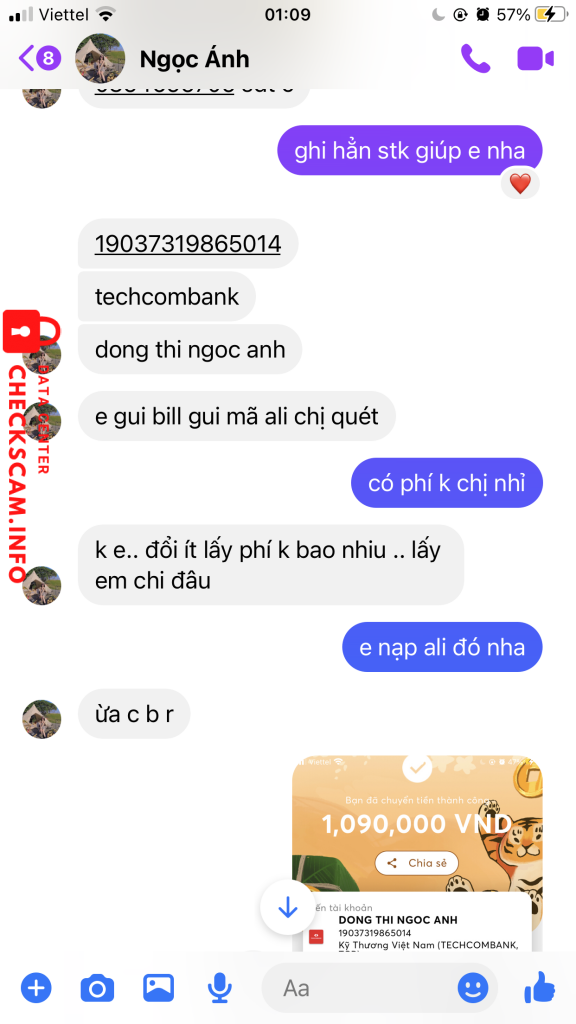 Preuves contre Dong Thi Ngoc Anh