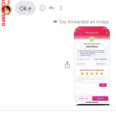 Preuves contre Hoàng Duy Tư