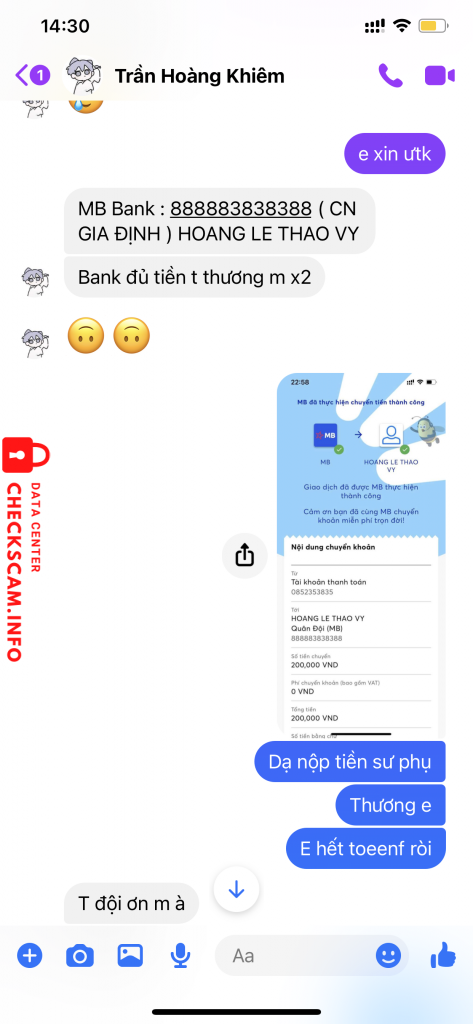 Evidence against Lê Hoàng Thảo Vy