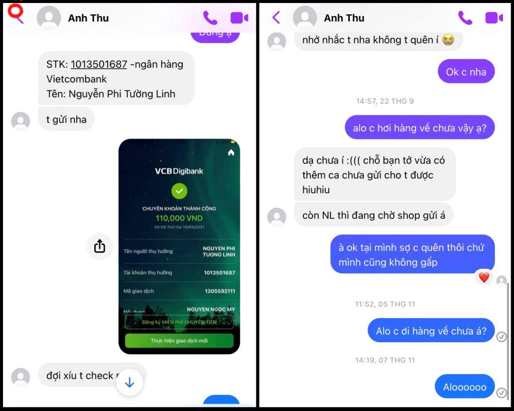 Evidence against Nguyễn Anh Thư