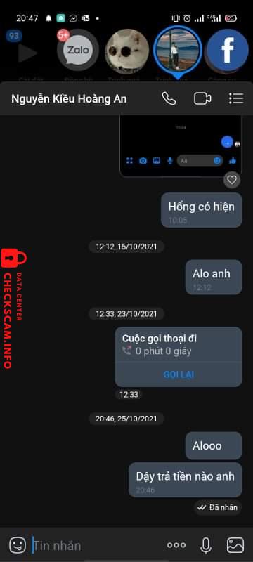Evidence against Nguyễn Kiều Hoàng An