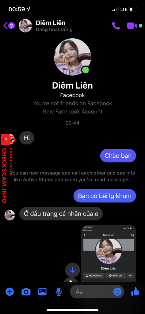 Evidence against Nguyen Thi Diem Lien