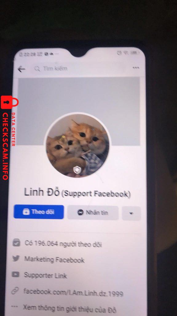 Evidence against Do Dinh Phuong Linh
