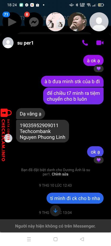 Evidence against Nguyen Phuong Linh
