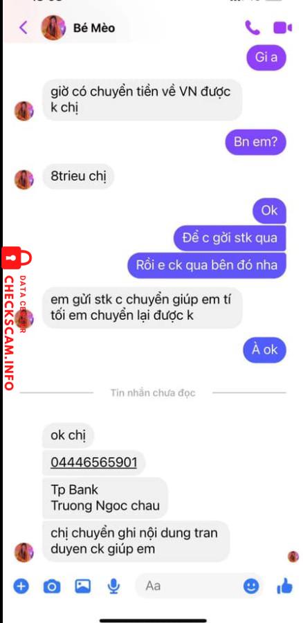 หลักฐานที่เป็นโทษต่อ Truong Ngoc Chau