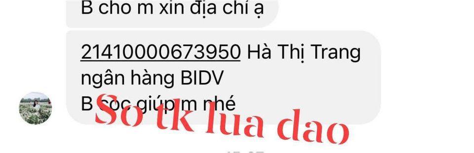 Evidência contra Hà Thị Trang