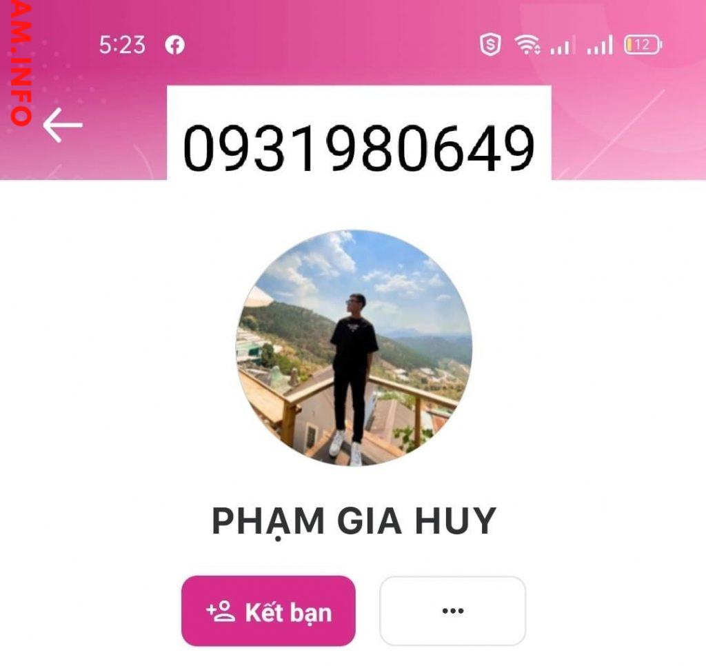 Αποδεικτικά στοιχεία κατά Pham Gia Huy
