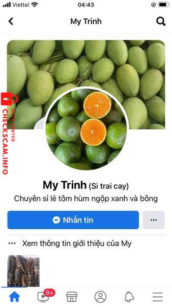 Evidence against Tran Thi My Trinh