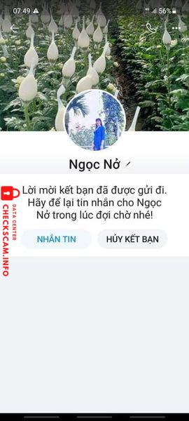 Evidence against Nguyen Thi No