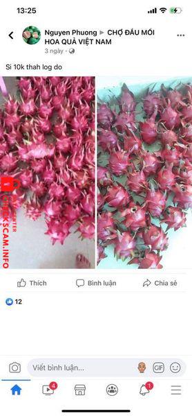 Evidence against Nguyen Thi Thu Hang