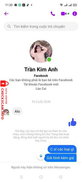 Evidence against Tran Thi Kim Anh