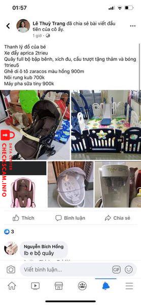 Evidence against Pham Thu Ha