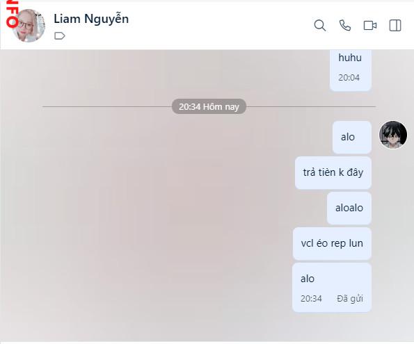 Evidence against Nguyễn Hoàng Long