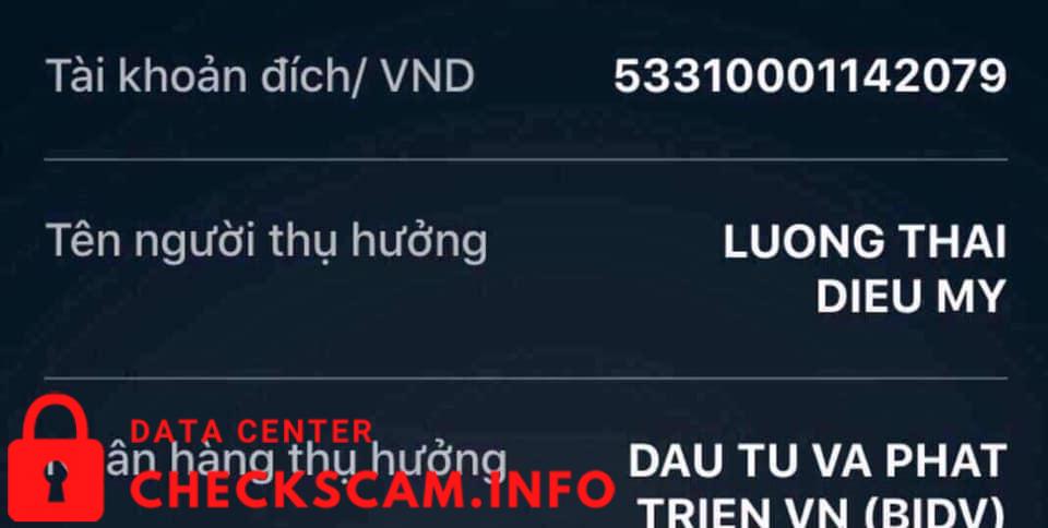 Αποδεικτικά στοιχεία κατά Lương Thái Diệu My