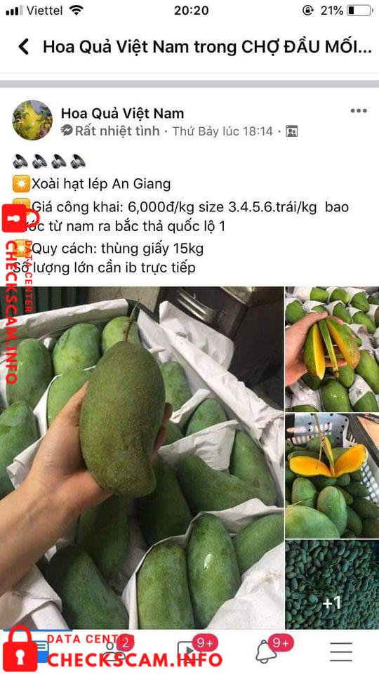 Preuves contre Tran Cong Mung