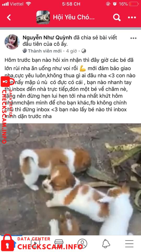 Bukti melawan Tuong Duy Canh