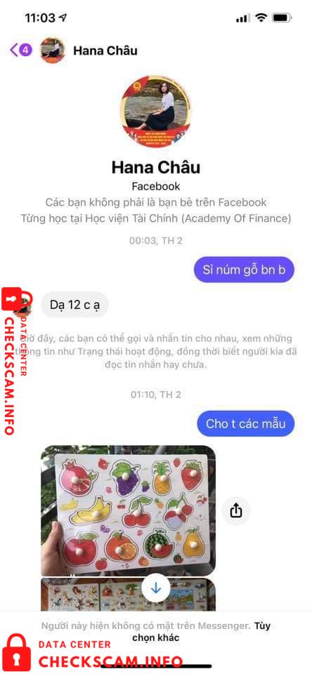 Preuves contre Nguyễn Hồng Diệu Châu