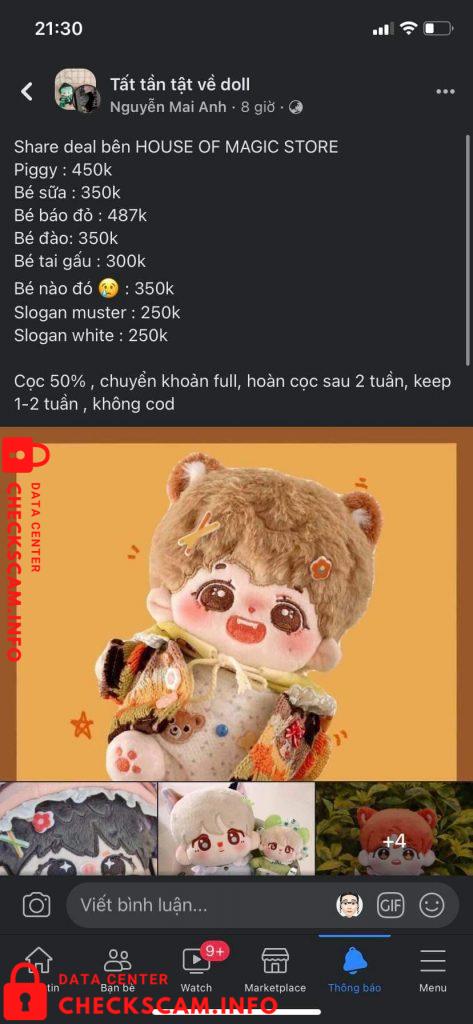 Preuves contre Vu Tuyet Anh