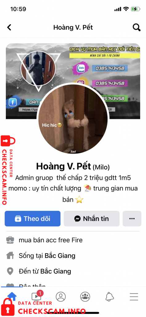 针对的证据 Hoàng V.Pết (milo)