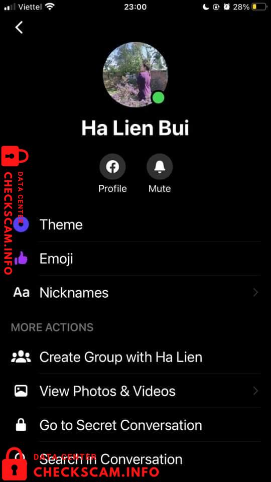 Evidence against Nguyen Thi Binh