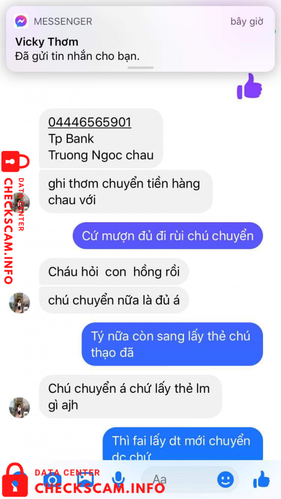 针对的证据 Truong Ngoc Chau