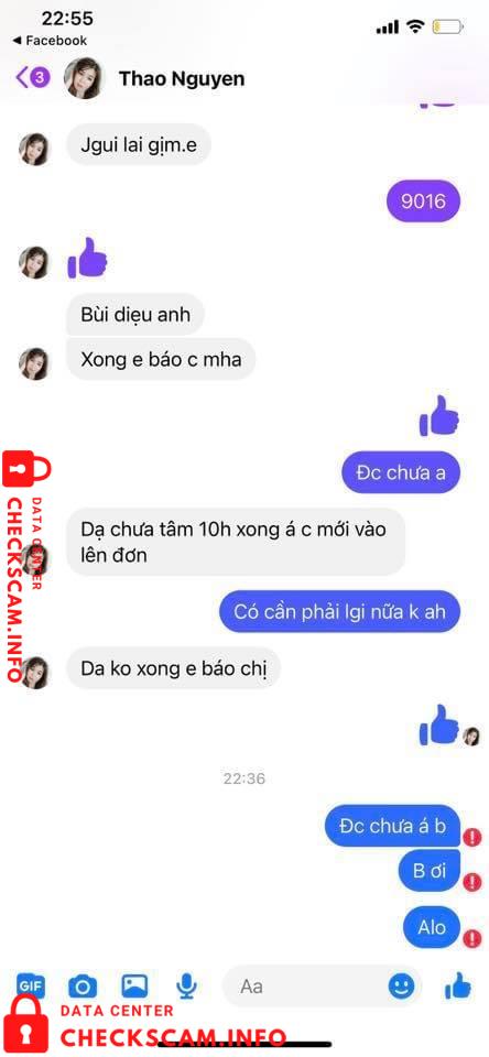 Evidence against Nguyen Thi Hoang Thao