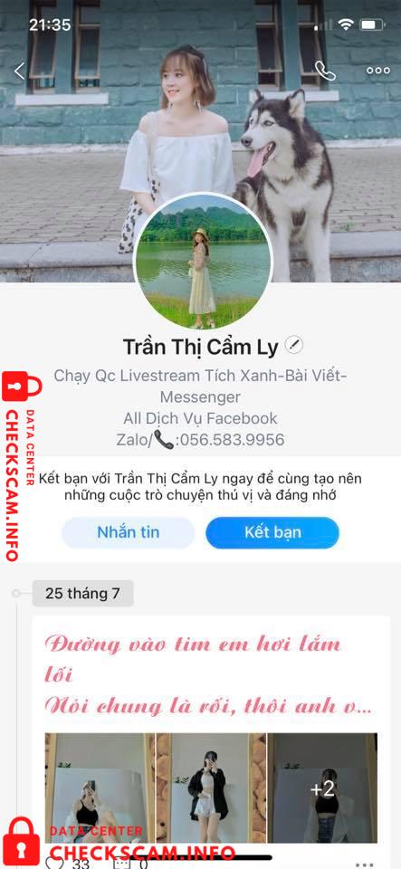 Bukti melawan Trần Thị Cẩm Ly