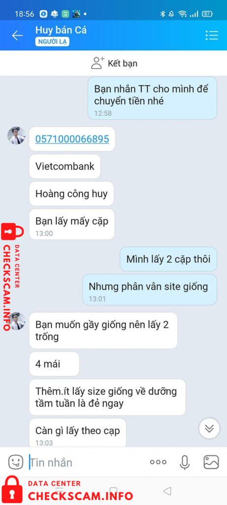 针对的证据 Hoang Cong Huy