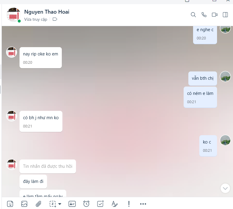 Evidence against Nguyen Thao Hoai