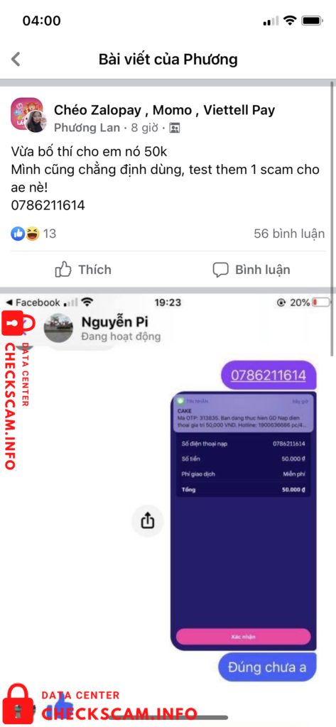 Evidence against Nguyễn Pi