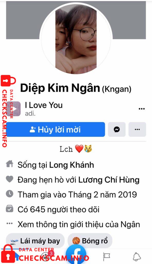 Preuves contre Diệp Kim Ngân