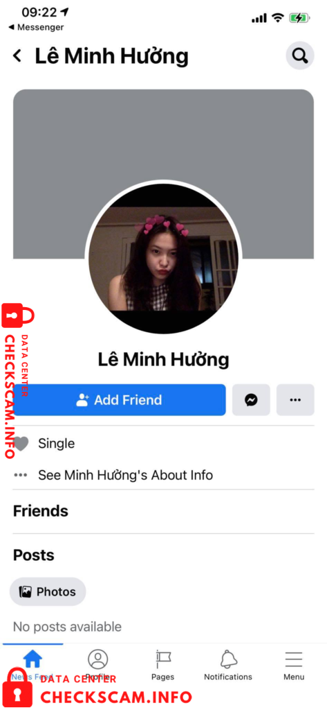 Evidence against Nguyen Thi My Nham