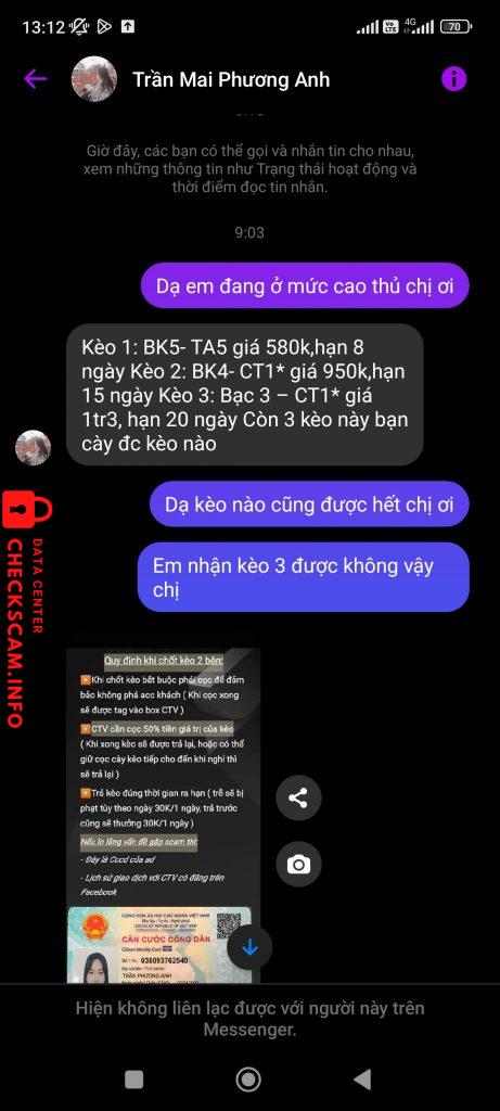 対する証拠 Trần Mai Phương Anh