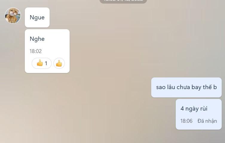 Evidence against Lý Triệu Muôn