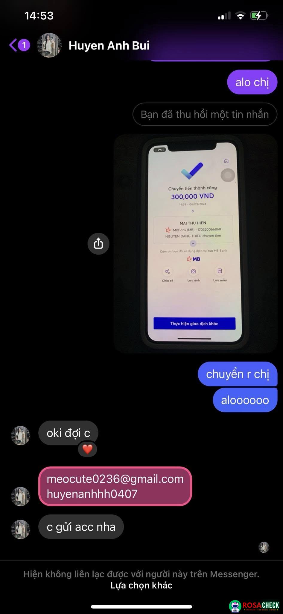 Evidence against MAI THU HIEN